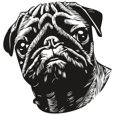 Pugs köpek eli çizilmiş vektör çizimi siyah beyaz logo hayvanları çizimi