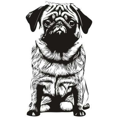 Pugs köpek eli çizilmiş vektör çizimi siyah beyaz logo hayvanları çizimi