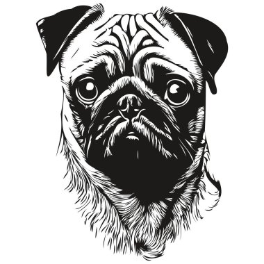 Pugs köpek logosu. El çizimi sanat vektörü. Siyah beyaz evcil hayvan çizimi.