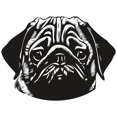 Pugs köpek logosu. El çizimi sanat vektörü. Siyah beyaz evcil hayvan çizimi.