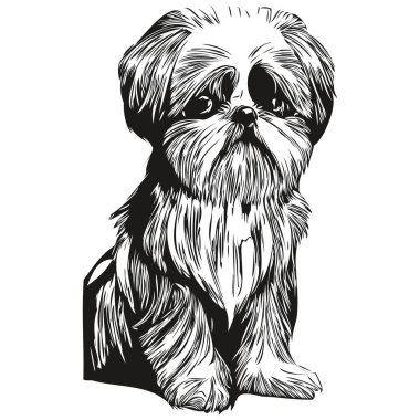 Shih Tzu köpek siyah-beyaz vektör logosu, çizgili sanat el çizimi vektör hayvan illüstrasyonu