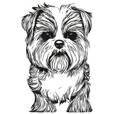 Shih Tzu köpek eli çizilmiş sanat vektörü siyah beyaz logo hayvanları çiziyor.