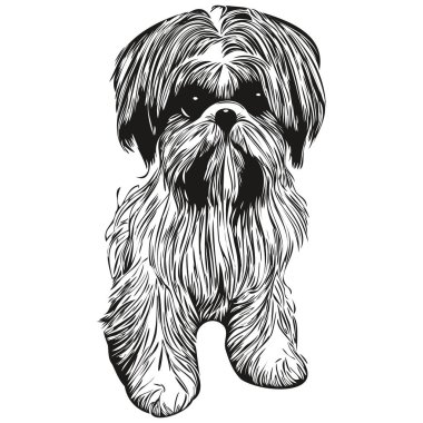 Shih Tzu köpek logosu çizilmiş sanat vektörü siyah beyaz evcil hayvan çizimi