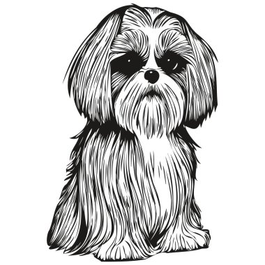 Shih Tzu köpek logosu çizilmiş sanat vektörü siyah beyaz evcil hayvan çizimi