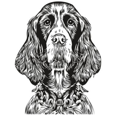 Spaniels (Cocker) köpek vektör çizimi, el çizimi sanat hayvanları logosu siyah ve beyaz