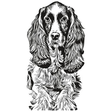 Spaniels (Cocker) köpek vektör çizimi, el çizimi sanat hayvanları logosu siyah ve beyaz