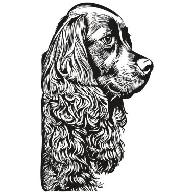 Spaniels (Cocker) köpek vektör çizimi, el çizimi sanat hayvanları logosu siyah ve beyaz
