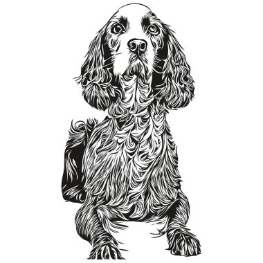 Spaniels (Cocker) köpek vektör çizimi, el çizimi sanat hayvanları logosu siyah ve beyaz