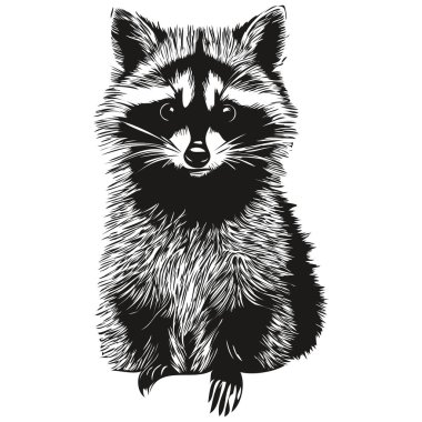 Sevimli çocuklar el çizimi rakun animası olan bebek odası posteri.