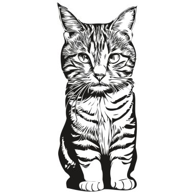 Kedi vektörü çizim çizgisi siyah beyaz çiziyor