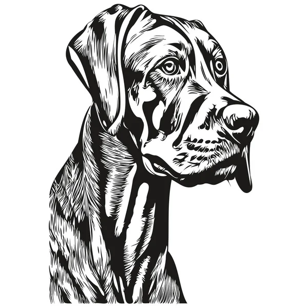 Vizslas Perro Ilustración Dibujada Mano Blanco Negro Vector Mascotas Logo — Vector de stock