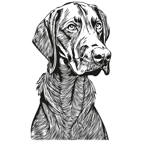 Vizslas Dog Hand Drawn Illustration Black White Vector Pets Logo — Stock Vector