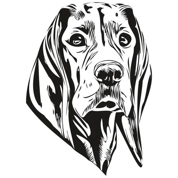Vizslas Dog Hand Drawn Logo Line Art Vector Drawing Black — Stock Vector