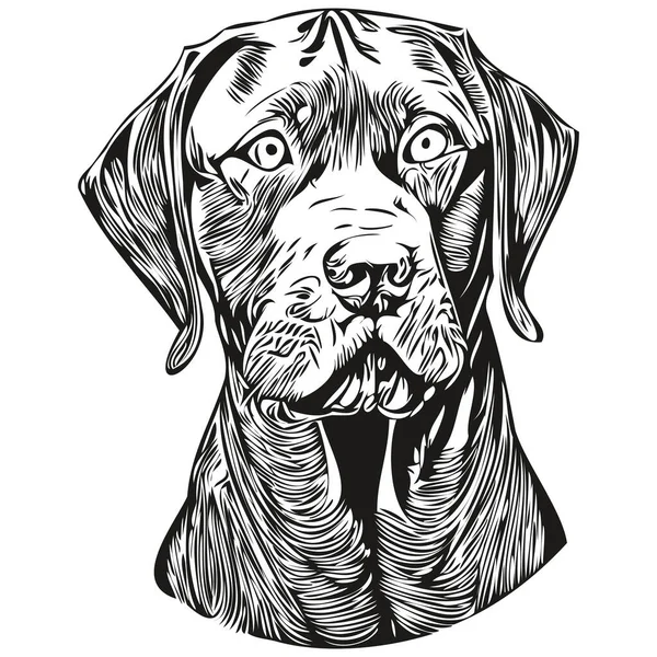 Vizslas Tangan Anjing Digambar Logo Garis Vektor Seni Gambar Hitam - Stok Vektor