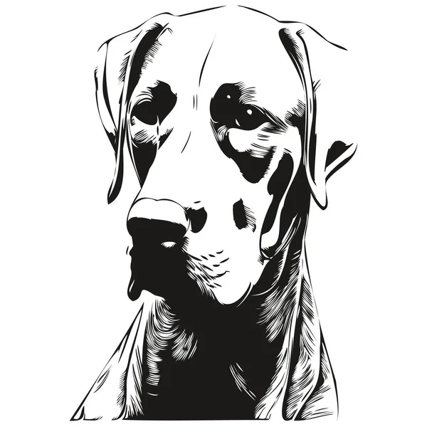 女性の犬のラインアートハンドドローイングベクトルロゴ黒と白のペットイラスト比率 — ストックベクタ