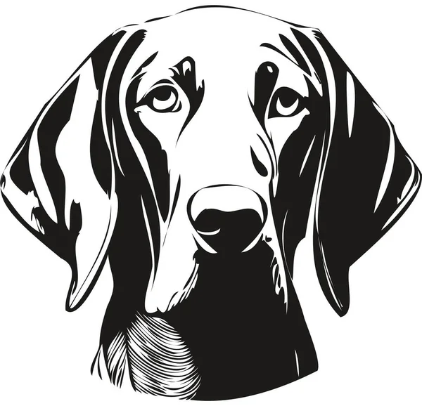 Weimaraner Dog Black White Vector Logo Line Art Hand Drawn — Stock Vector