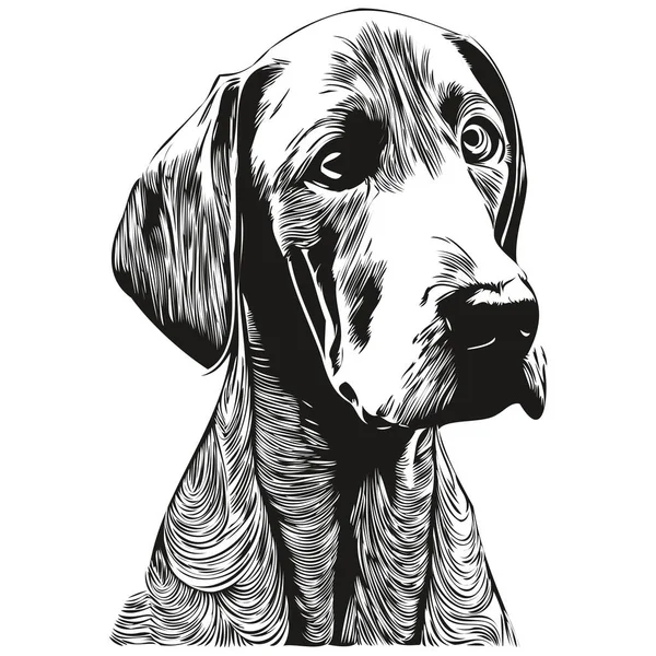 Weimaraner Tangan Anjing Ditarik Garis Vektor Seni Gambar Hitam Dan - Stok Vektor