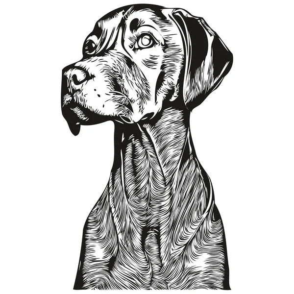 Vizslas Hond Lijn Kunst Hand Tekening Vector Logo Zwart Wit — Stockvector