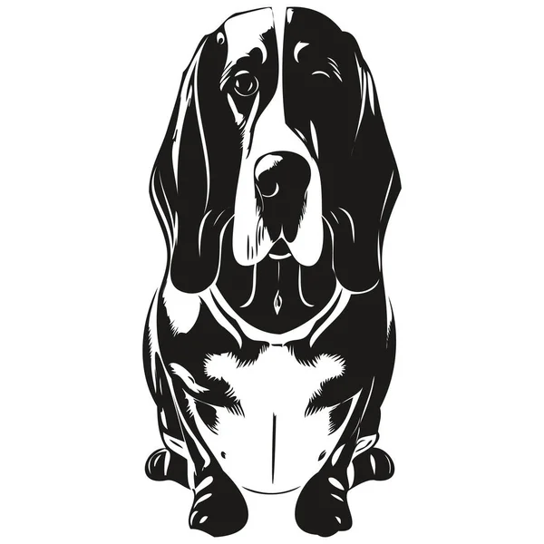 バセット猟犬手イラスト 黒と白のベクトルペットのロゴラインアール — ストックベクタ