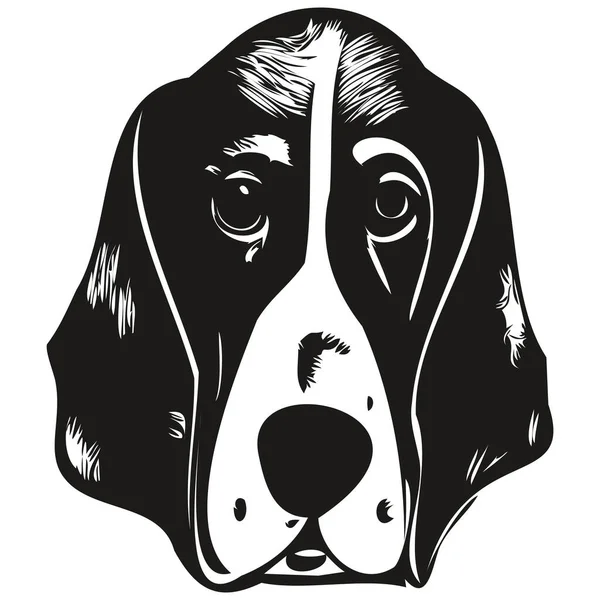 Бассет Собака Рисовал Векторную Линию Рисунок Черно Белый Логотип Домашних — стоковый вектор