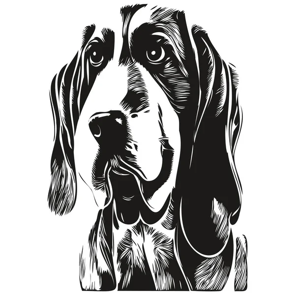 Basset Hond Hond Hand Getrokken Vector Lijn Kunst Tekening Zwart — Stockvector