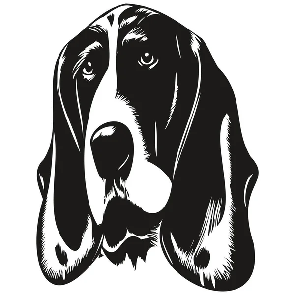 Basset Hound Собака Логотип Рисовал Линию Вектор Рисования Черно Белые — стоковый вектор