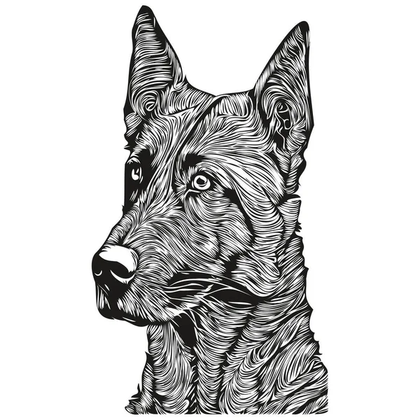 Belga Malinois Cão Mão Desenhada Linha Arte Vetor Desenho Preto — Vetor de Stock