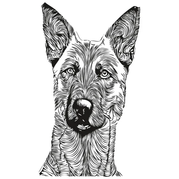 Anjing Belgia Malinois Tangan Ditarik Garis Vektor Seni Gambar Hitam - Stok Vektor