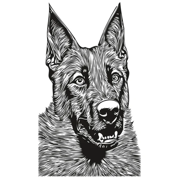 Belgiske Malinois Hund Håndtegnet Linje Kunst Vektor Tegning Sort Hvid ...