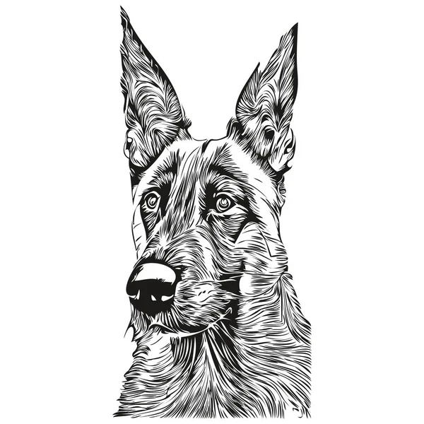 Belgische Malinois Honden Lijn Kunst Hand Tekening Vector Logo Zwart — Stockvector