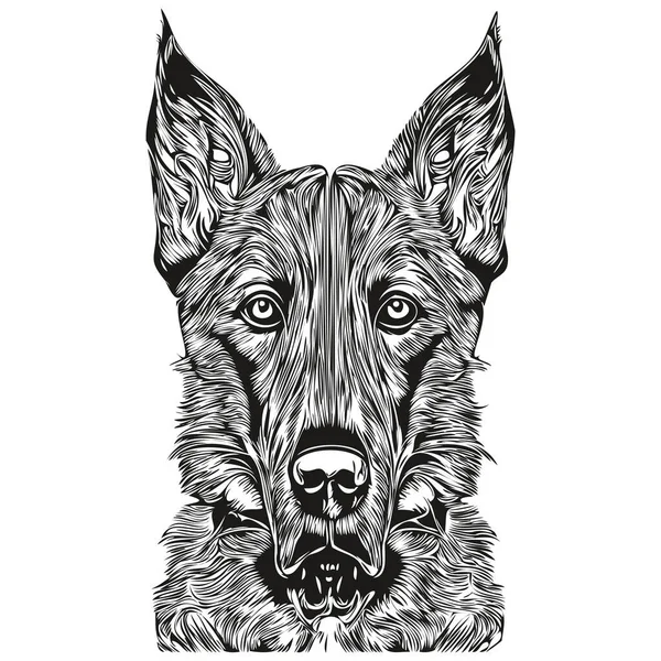 Belçika Malinois Köpek Logosu Çizilmiş Çizgili Sanat Vektörü Siyah Beyaz — Stok Vektör