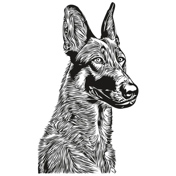 Belgické Malinois Pes Logo Ručně Kreslené Čáry Art Vektor Kreslení — Stockový vektor