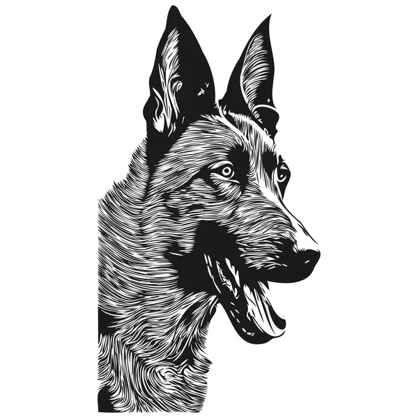 Belgische Malinois Honden Logo Met Hand Getekend Lijn Kunst Vector — Stockvector