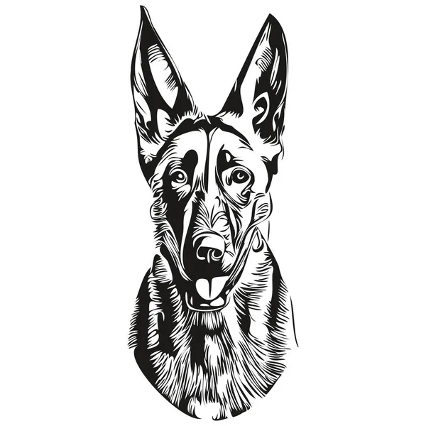 Belgische Malinois Honden Logo Met Hand Getekend Lijn Kunst Vector — Stockvector