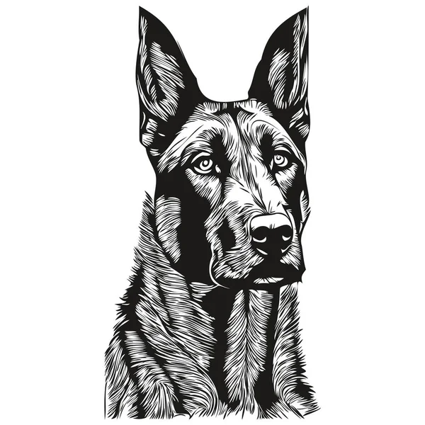 Belçika Malinois Köpek Logosu Çizilmiş Çizgili Sanat Vektörü Siyah Beyaz — Stok Vektör