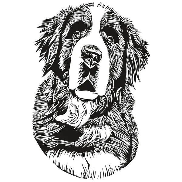 Bernese Mountain Dog Black White Vector Logo Line Art Hand — Stock Vector
