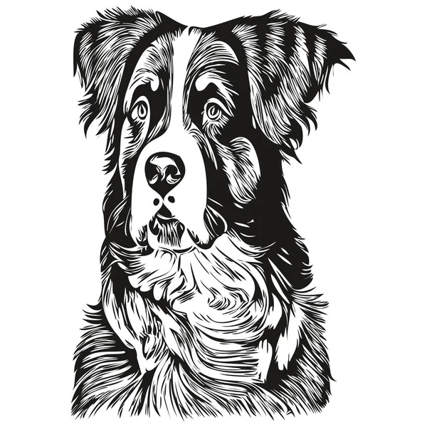 Bernese Mountain Dog Hand Drawn Line Art Vector Drawing Black — Stock Vector