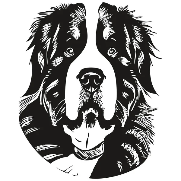 Бернская Гора Собака Нарисовал Линию Вектор Рисования Черно Белый Логотип — стоковый вектор