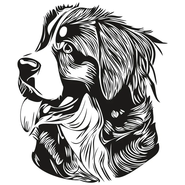 Bernese Dağı köpek eli çizilmiş sanat vektörü siyah beyaz logo hayvanları çizimi