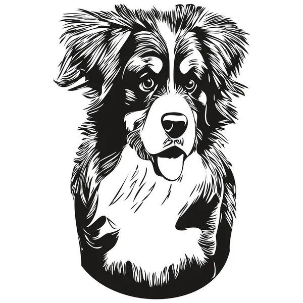Бернская Гора Собака Нарисовал Линию Вектор Рисования Черно Белый Логотип — стоковый вектор