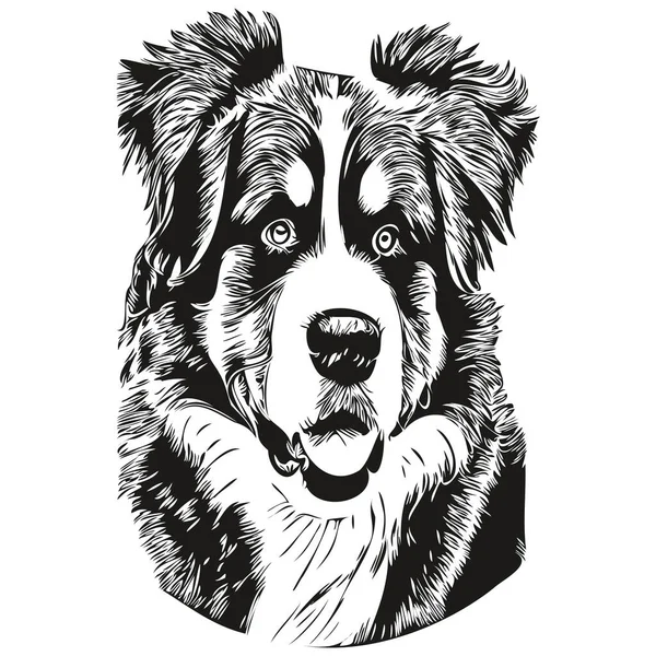 贝奈斯山狗线艺术手绘矢量标志黑白宠物图解 — 图库矢量图片