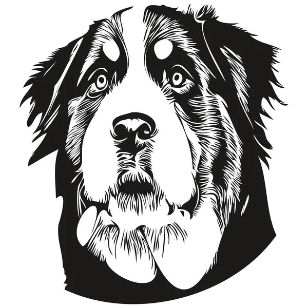 Bernese Mountain Dog Line Art Hand Drawing Vector Logo Black — Stock Vector