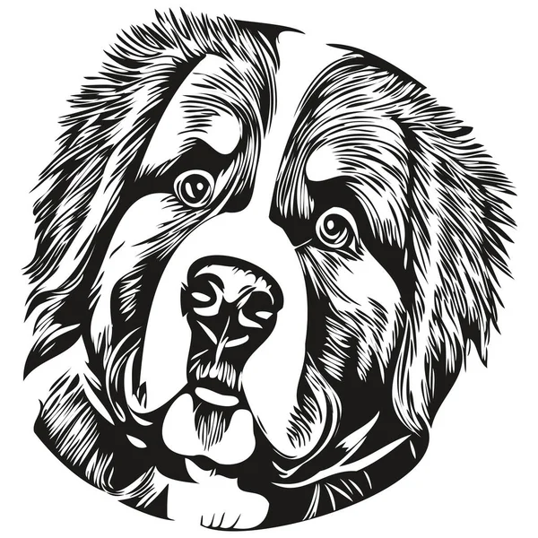 Bernese Mountain Cão Linha Arte Mão Desenho Vetor Logotipo Preto — Vetor de Stock