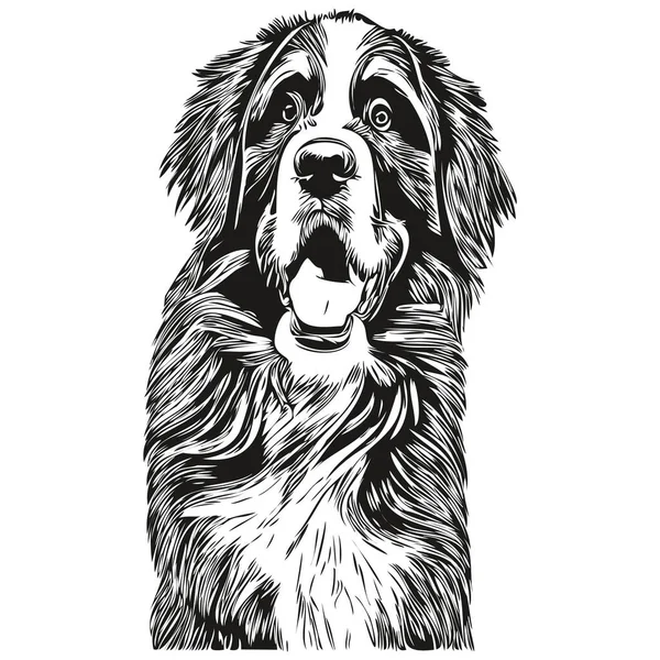 Bernese Mountain Perro Logotipo Dibujado Mano Línea Vector Dibujo Mascotas — Archivo Imágenes Vectoriales