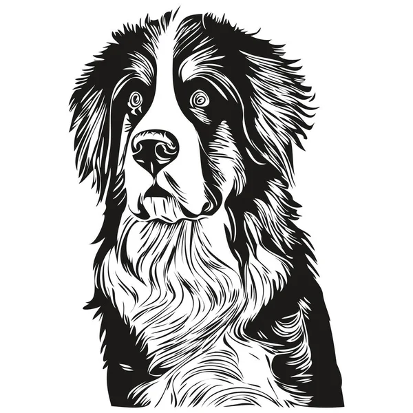 Bernese Mountainの犬のロゴ手描き線画ベクトル描画黒と白のペットイラスト比率 — ストックベクタ