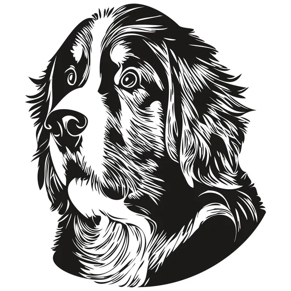 Bernese Dağı Köpek Logosu Çizimi Sanat Vektörü Siyah Beyaz Evcil — Stok Vektör