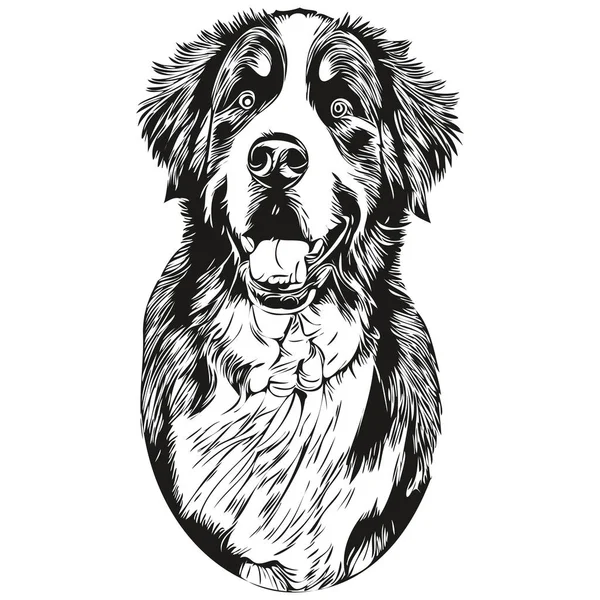 Bernese Mountain Cão Logotipo Mão Desenhada Linha Arte Vetor Desenho — Vetor de Stock