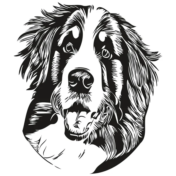 ベルネーゼマウンテン犬ベクトルイラスト 手描きラインアートペットロゴ黒と白 — ストックベクタ