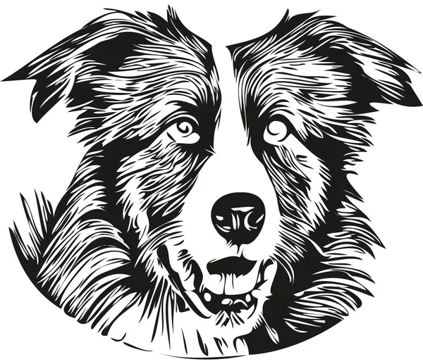 边境科林斯犬手绘标识画黑白线条艺术宠物图解 — 图库矢量图片