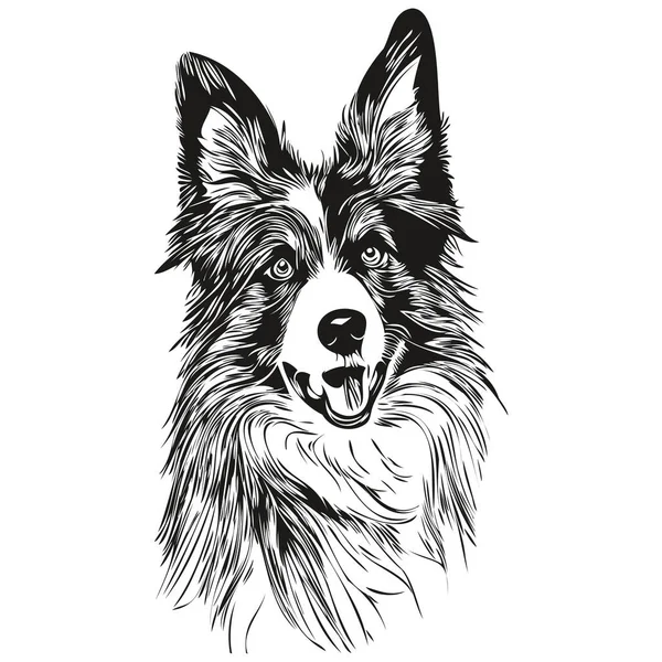 Border Collies Dog Hand Drawn Logo Drawing Black White Line — Stock Vector
